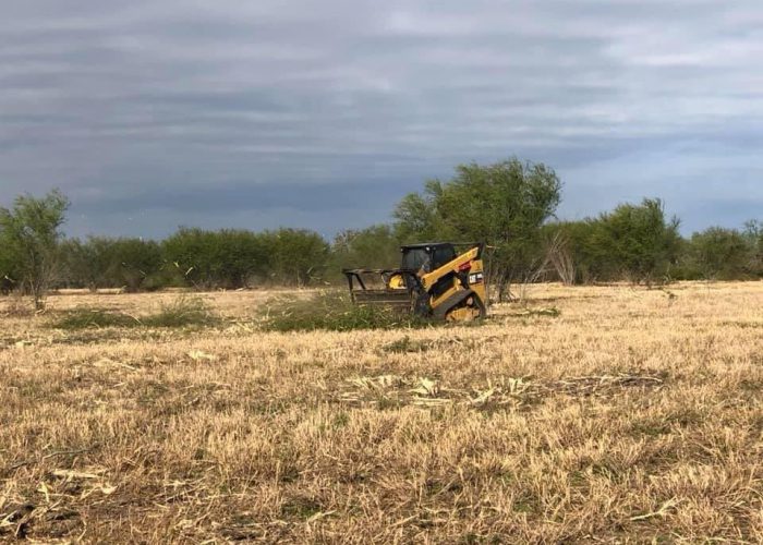 forestry mulching devine tx