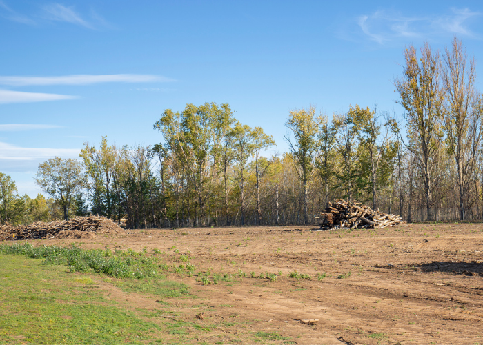 professional land clearing & forestry mulching in devine tx done by platinum service & supply